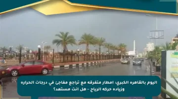 اليوم بالقاهرة الكبرى: أمطار متفرقة مع تراجع مفاجئ في درجات الحرارة وزيادة حركة الرياح – هل أنت مستعد؟
